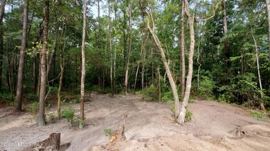 Cleared and Ready to Go!