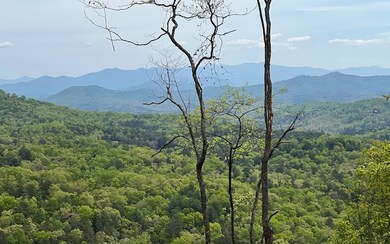 Additional View