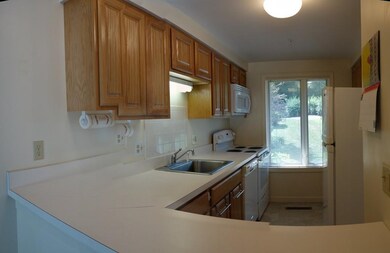 7 Emerson Ct, Amherst, MA 01002 - photo 6