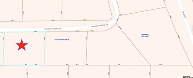 Lot 15 Hunters Hollow Dr, Mount Vernon, TX 75457 - photo 4
