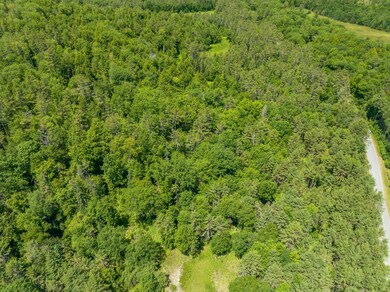 0 Lyman Rd, Lyman, NH 03585 - photo 5