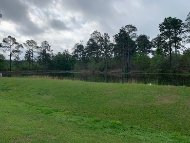 0 Mcmillan Rd, Ochlocknee, GA 31773 - photo 6