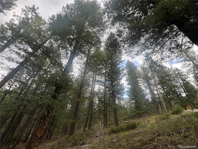 5525 S Twin Spruce Dr, Evergreen, CO 80439 - photo 7