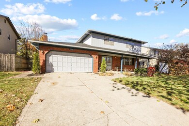 49-web-or-mls-0D3A9443