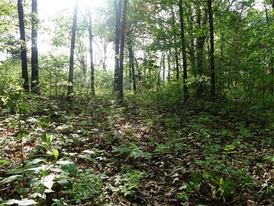 0 Tbd Nina St, Dixon, MO 65459 - photo 5