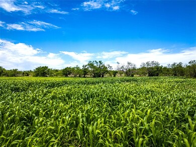 32 Ac. Alexander Rd, Moody, TX 76557 - photo 7