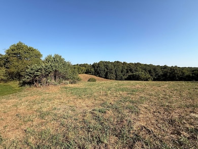 46A Lafferty Rd, Mount Pleasant, AR 72561 - photo 7