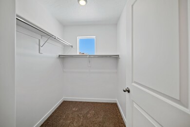 Dalton Master closet