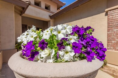 7882 S Dateland Dr, Tempe, AZ 85284 - photo 5