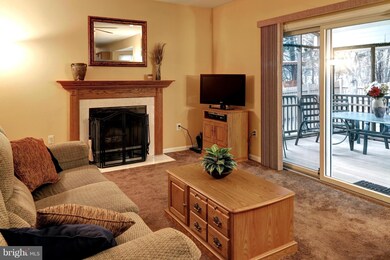 1203 Jewelweed Path, Pasadena, MD 21122 - photo 7