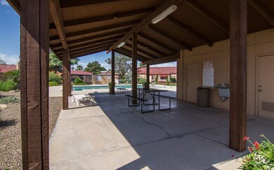 Shaded Hang Out By The Pool