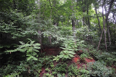 This gently sloping corner lot is awaiting your buyers -- and their vision of a dream home in the mountains.