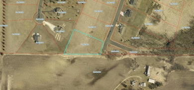 901 14th St NE, Montgomery, MN 56069 - photo 2