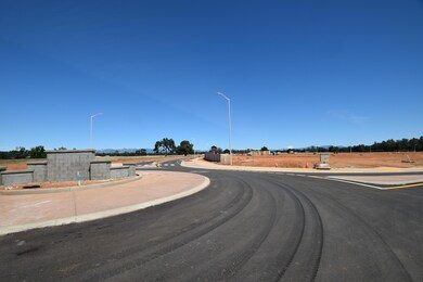 Traffic Circle