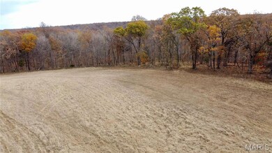 Tract 6 Polston Ln, Hickory Grove Township, MO 63357 - photo 4