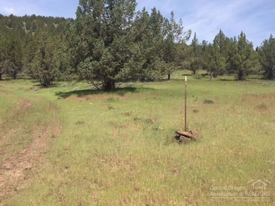 0 Shop Gulch unit 201705141, Mount Vernon, OR 97865 - photo 3