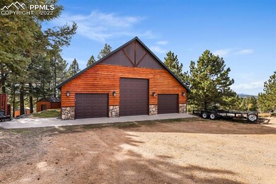 66 Blue Mesa Dr, Divide, CO 80814 - photo 3
