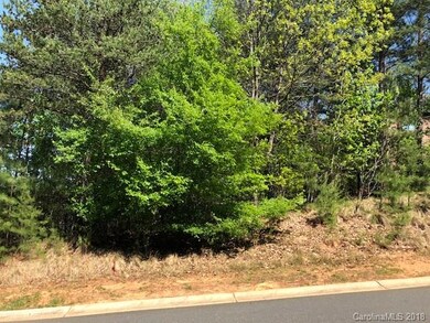 FRONT OF PROPERTY ON LAKE POINT DRIVE