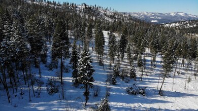 1050 Spring Hill Rd, Kila, MT 59920 - photo 6