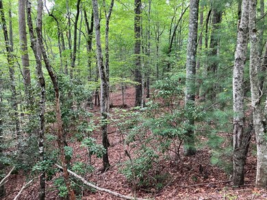 Lt 41 Floris Mountain Rd, Murphy, NC 28906 - photo 7