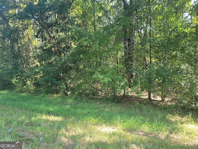 LOT 224 Chula Brookfield Rd, Tifton, GA 31794 - photo 5
