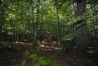 TBD Towle, Chichester, NH 03258 - photo 6