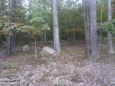 0 Roberts Ln unit 1003733060, Great Cacapon, WV 25422 - photo 7
