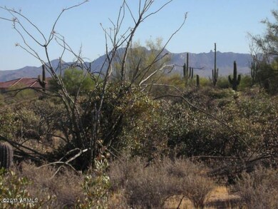 McDOWELL MOUNTAIN