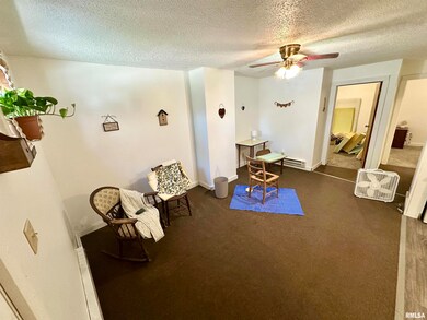 311 & 313 Main St, Meredosia, IL 62665 - photo 4