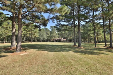 30123 Post Oak Run, Magnolia, TX 77355 - photo 3