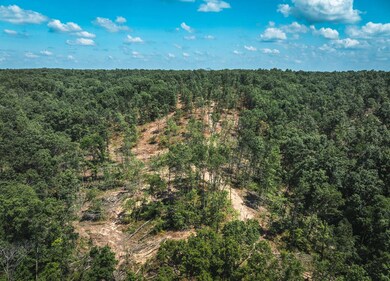 0 Highway B unit 11555602, Ellington, MO 63638 - photo 6