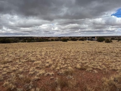 0 County Rd unit 25705421, Concho, AZ 85924 - photo 4