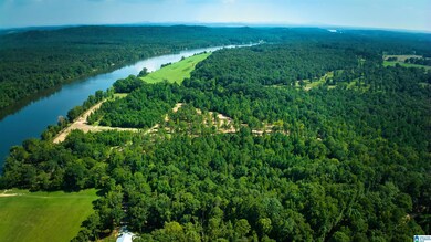 lot 9 Wester Dr unit Lot 9, Ragland, AL 35131 - photo 5