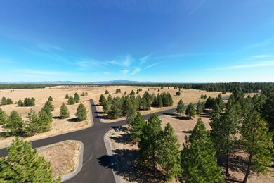 NKA N Tudor Rd unit LOT 2, Deer Park, WA 99006 - photo 7