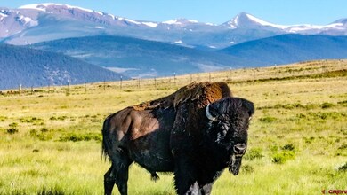 9173 Highway 24 unit The Preserve Ranch, Hartsel, CO 80449 - photo 3