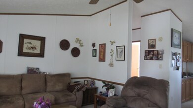 125 W Buffalo St, Mandan, ND 58554 - photo 4