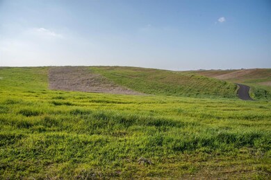 12911 N Friant Rd, Clovis, CA 93611 - photo 6