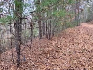 Lot 1375 Lyric Ln, Ellijay, GA 30540 - photo 2