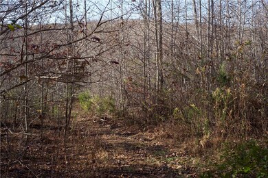 0 Big Spring Rd unit 1235038, Winslow, AR 72959 - photo 2