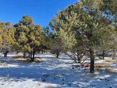 529 S 1050 W, Summit, UT 84772 - photo 4