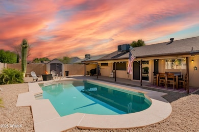 Beautiful Low Maintenance Yard