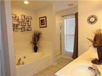 THE SPACIOUS MAIN BATH