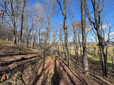 0 E Mountain Rd, Pleasant Mount, PA 18453 - photo 3