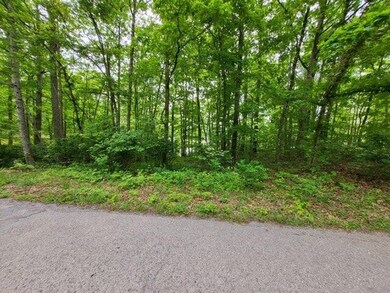 0 Fawn Cir unit RTC2528653, Dunlap, TN 37327 - photo 3