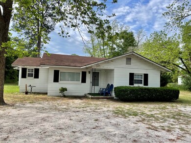 704 Rosedale Ave, Claxton, GA 30417 - photo 3