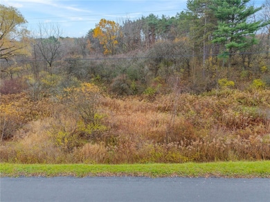 0 Seneca St, Trumansburg, NY 14886 - photo 3