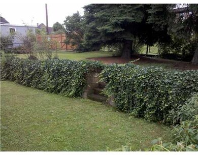 Yard/Garden.