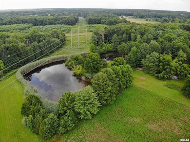 9758 E Richview Rd, Mount Vernon, IL 62864 - photo 3