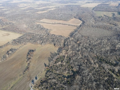 000 County Highway 7 County Rd, Cisne, IL 62823 - photo 6