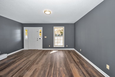 13014 Minor Hill Hwy, Minor Hill, TN 38473 - photo 5